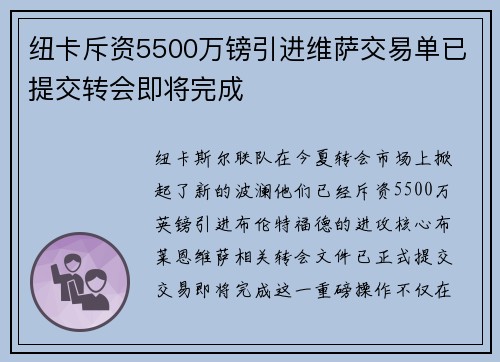 纽卡斥资5500万镑引进维萨交易单已提交转会即将完成